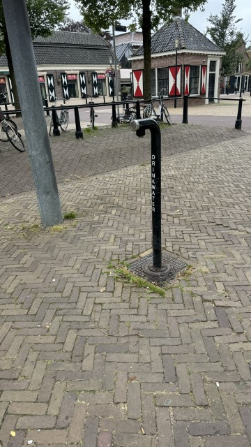 IMG 0538