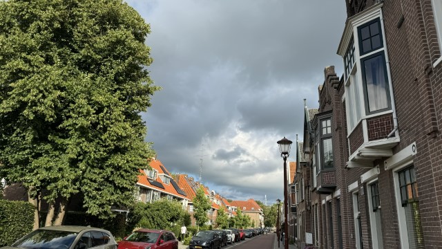 IMG 0923