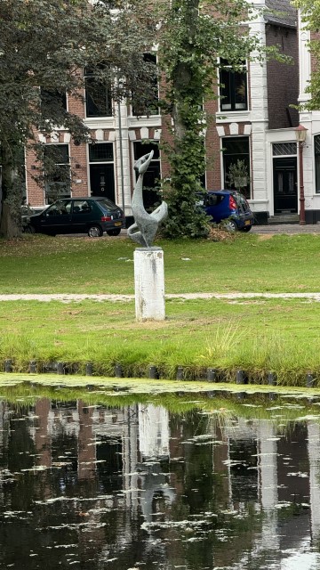 IMG 0929