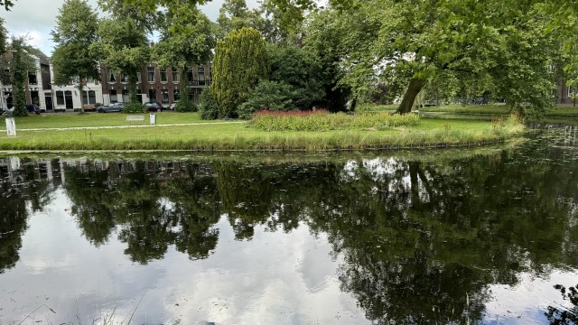 IMG 0931