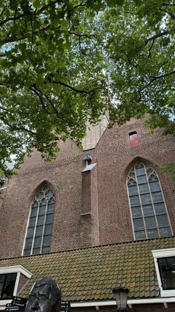 IMG 0642