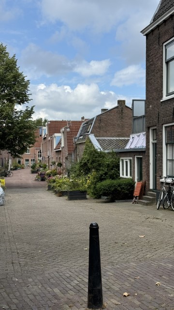 IMG 0647
