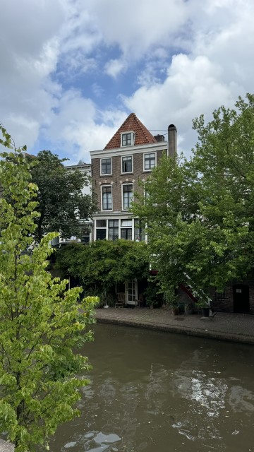 IMG 0652