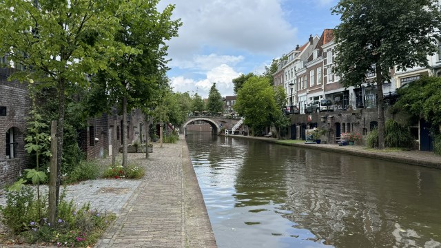 IMG 0655