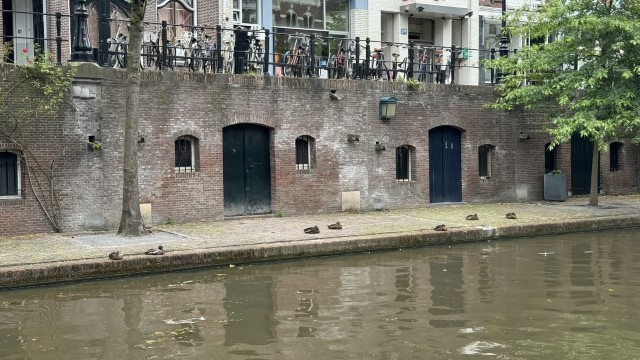 IMG 0659