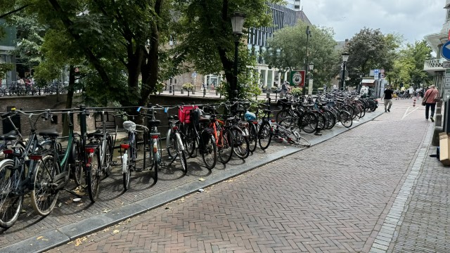 IMG 0668