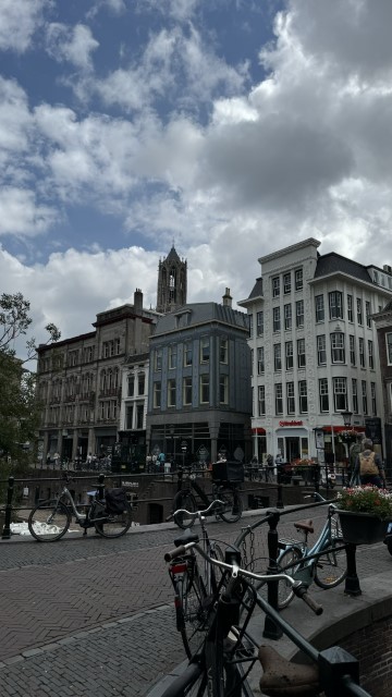 IMG 0686