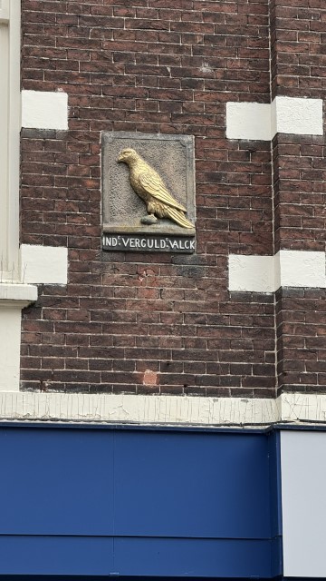 IMG 0705