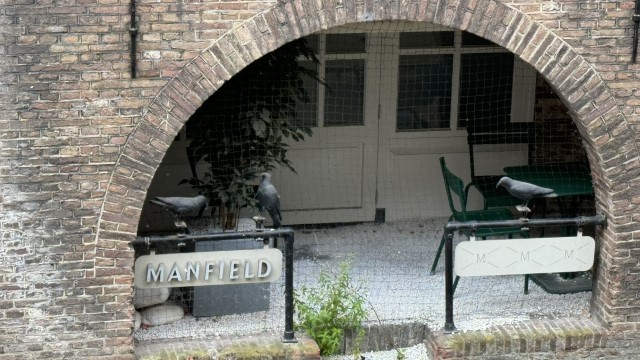 IMG 0708