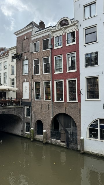 IMG 0711