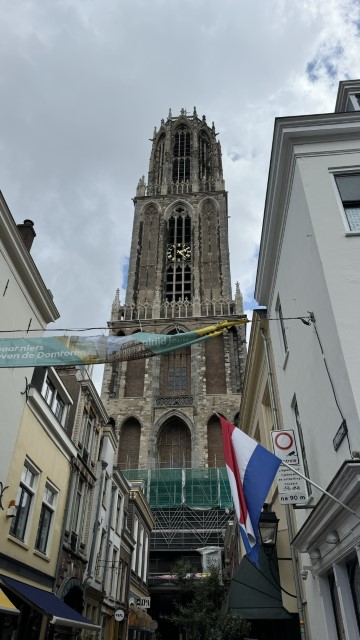 IMG 0713