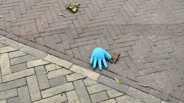 IMG 0749