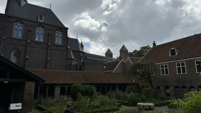 IMG 0784