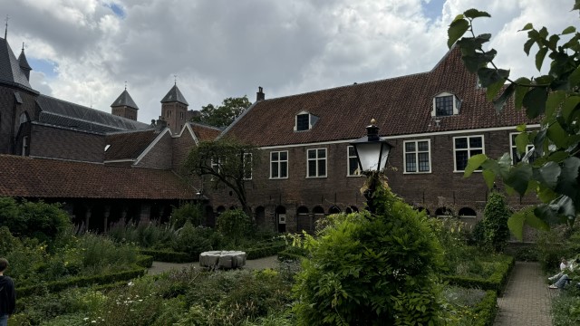 IMG 0785