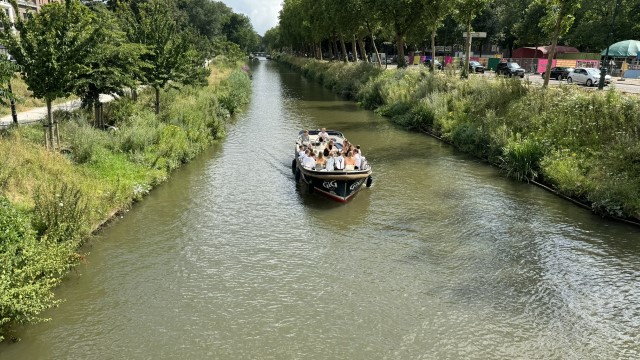 IMG 0800
