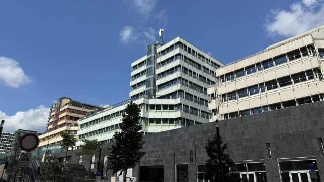 IMG 0810