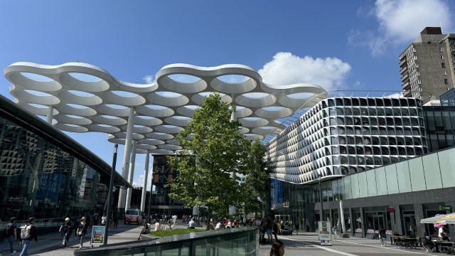 IMG 0816
