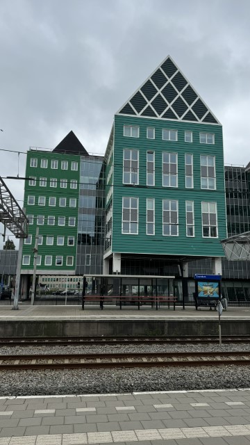 IMG 0542