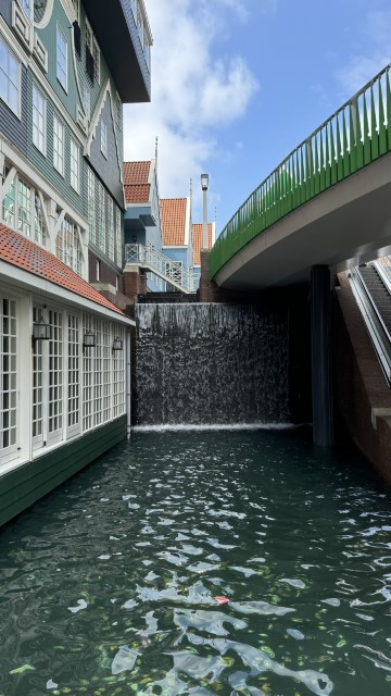 IMG 0612