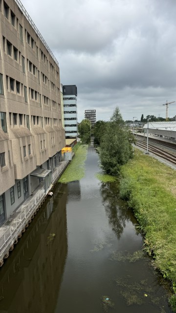 IMG 0622