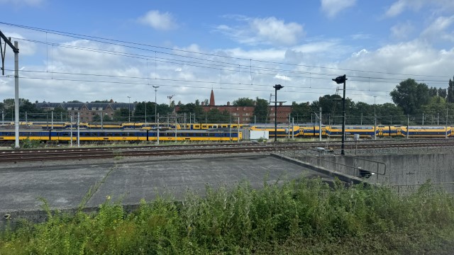 IMG 0627