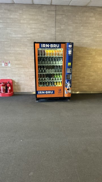 IMG 1195