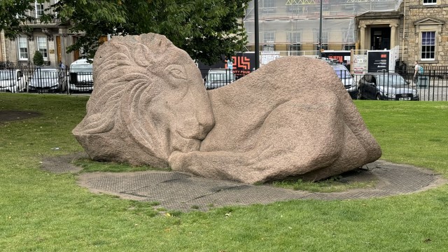 IMG 1234