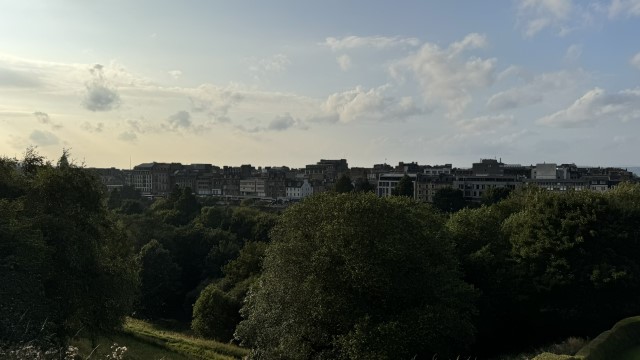 IMG 1398