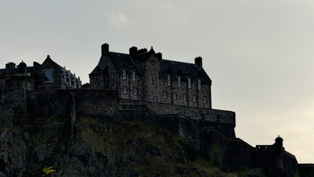 IMG 1456