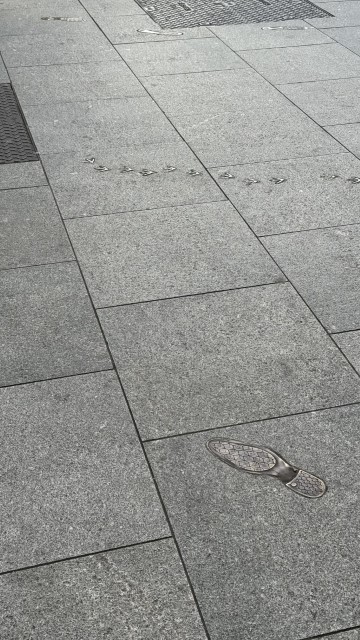 IMG 1728