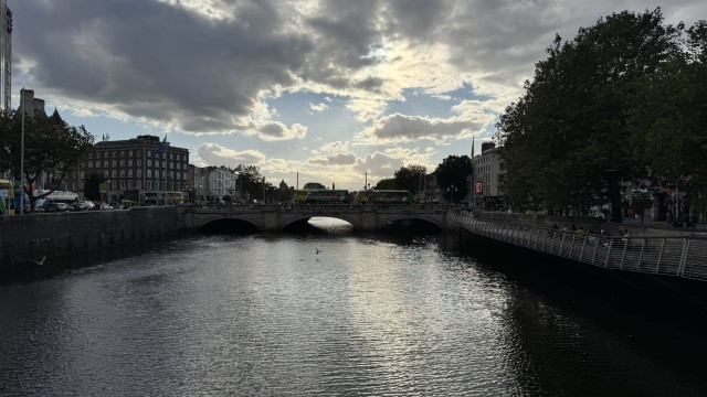 IMG 1752
