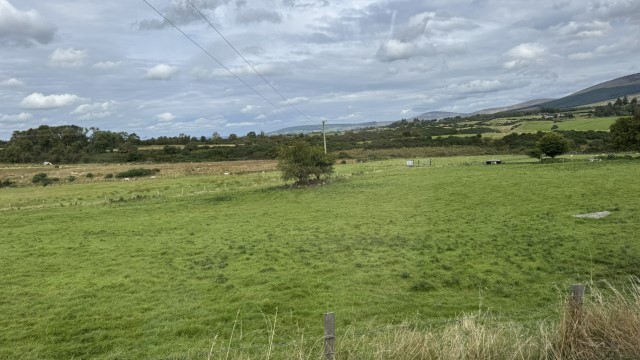 IMG 2205