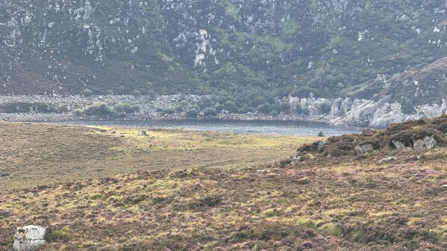 IMG 2208