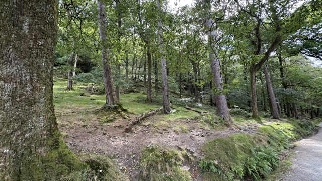 IMG 2251