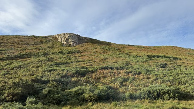 IMG 2371