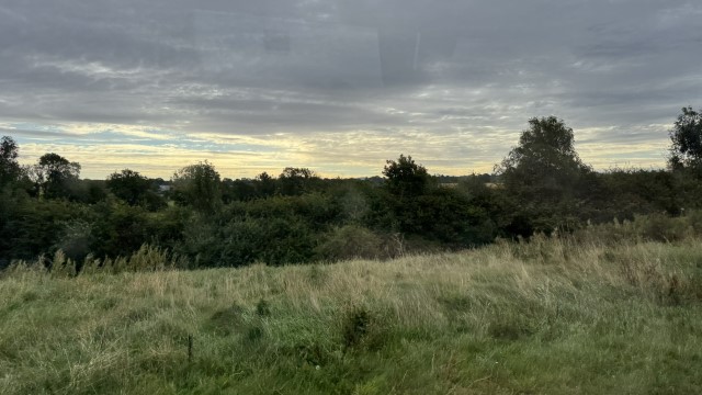 IMG 1977