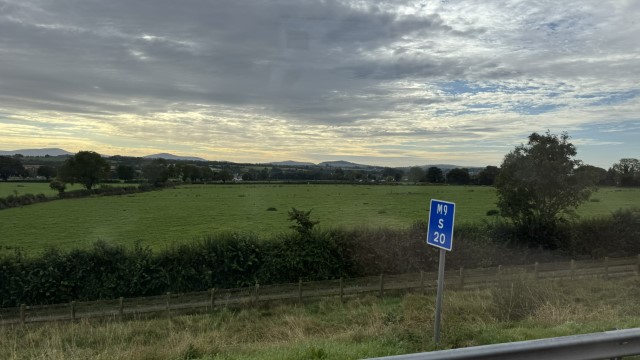 IMG 1980