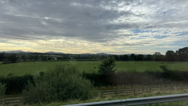IMG 1981