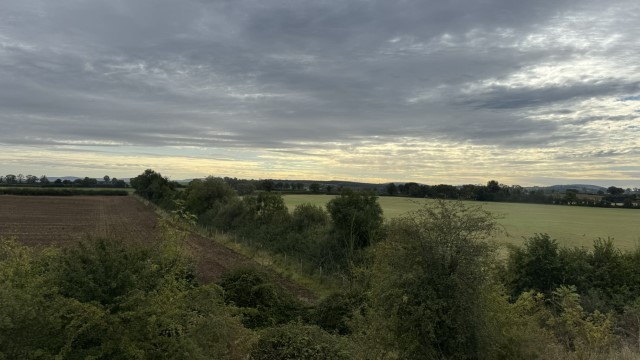 IMG 1983
