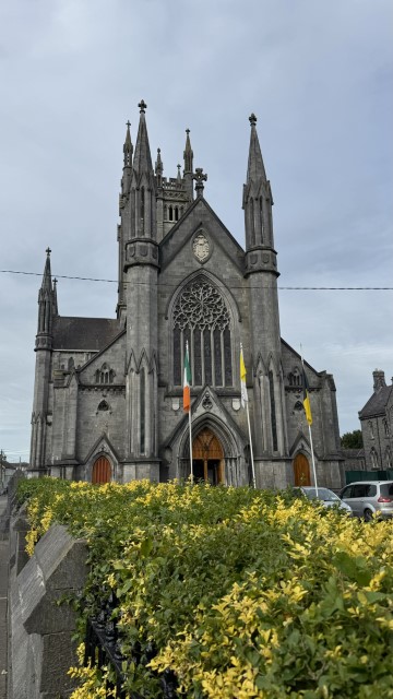 IMG 2015