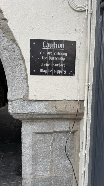 IMG 2044