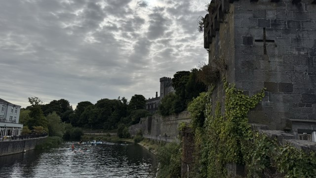 IMG 2065
