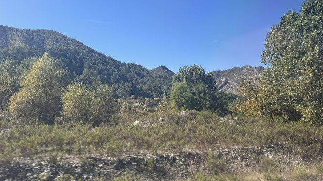 IMG 2545