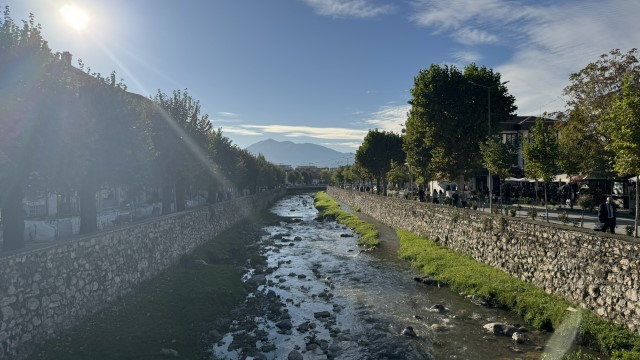 IMG 2593