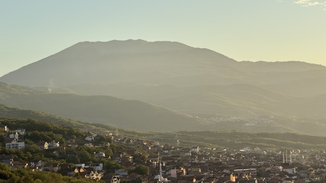 IMG 2635