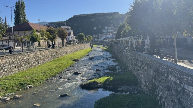 IMG 2743