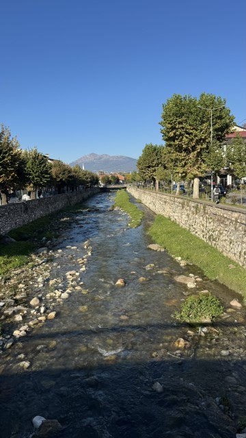 IMG 2746