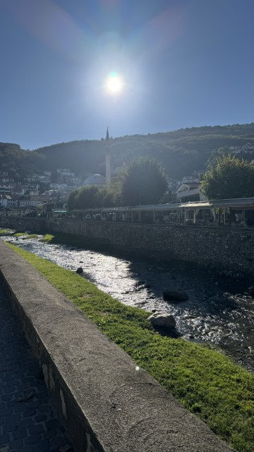 IMG 2748