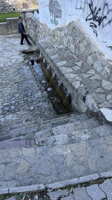 IMG 2785