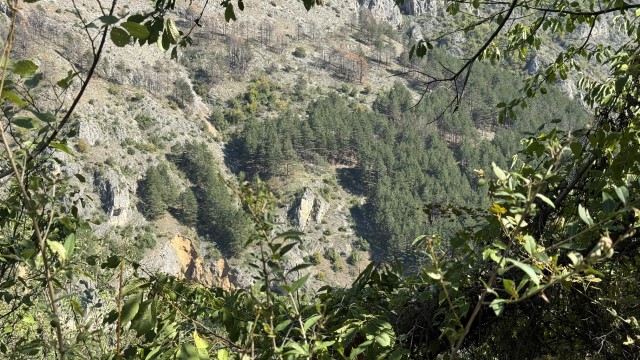 IMG 3007